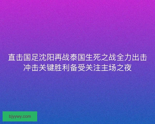 直击国足沈阳再战泰国生死之战全力出击冲击关键胜利备受关注主场之夜
