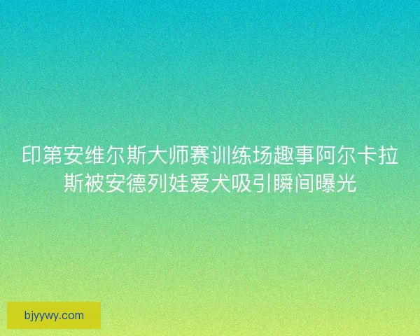 印第安维尔斯大师赛训练场趣事阿尔卡拉斯被安德列娃爱犬吸引瞬间曝光